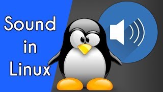 How to Use Alsamixer and Pulseaudio to Fix Linux Sound [upl. by Cal450]