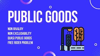 Public goods [upl. by Eimaraj]