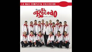 Banda El Recodo Mix [upl. by Gristede869]