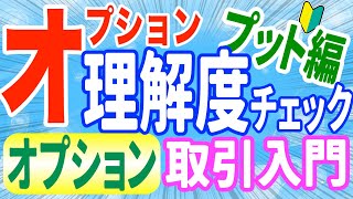 日経225オプション理解度チェックプットオプション買い編 [upl. by Zins]