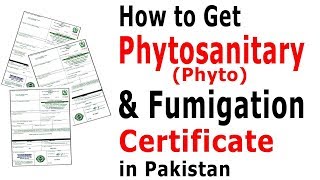 How to Get Phytosanitary Certificate in PakistanProcedure to Get Fumigation Certificate In Pakistan [upl. by Wixted512]