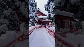 Aomori Japan 🇯🇵 ☀️❄️aomori japan travel japon snow temple fyp shorts pourtoi [upl. by Ynamrej]