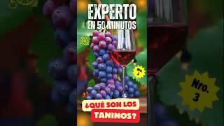 ¿Qué Son Los TANINOS Saber de Vinos en 50 MINUTOS  Tutorial de VINOS [upl. by Eusoj]