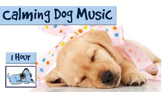 Calming Music for Dogs and Puppies [upl. by Swiercz]