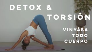 DÍA INTERNACIONAL DEL YOGA  VINYASA FLOW DETOX Y TORSION con Absmo  2020 [upl. by Annhej20]