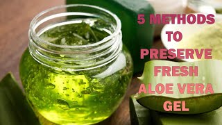 Preserve Aloe Vera Gel At Home [upl. by Nahtanha]