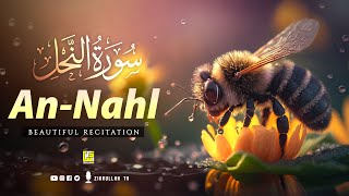 Surah An Nahl سورة النحل Best Quran recitation in the world  BEAUTIFUL VOICE  Zikrullah TV [upl. by Proudfoot]