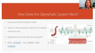 How Does the Glymphatic System Work Shorts [upl. by Nnoved]