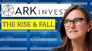 ARK Invest Deep Dive Primer on Cathie Woods Disruptive Innovation fund [upl. by Aserret]