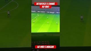 Ao vivo botafogo cuiabá aovivo [upl. by Zingg]