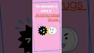 MECHANISM OF ACTION OF ANTIMICROBIAL DRUGS [upl. by Eyllom]