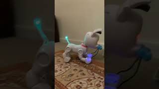 Wowwee Mintid DogE Robot Dog Playing With His Bone Toy 😆 robotdog doge funny shorts [upl. by Caterina232]