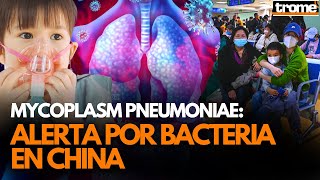 MYCOPLASMA PNEUMONIAE Bacteria en CHINA causa brote de NEUMONIA EN NIÑOS  Trome [upl. by Sarson537]