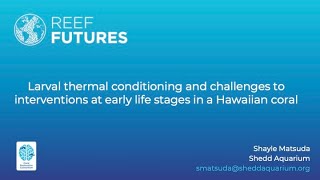 Larval thermal conditioning and challenges to interventions at early life stages in a Hawaiian coral [upl. by Whetstone]