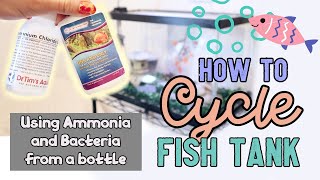 CYCLING Fish Tank EASY using Ammonia amp Bacteria from Dr Tims Aquatics [upl. by Eeleimaj]