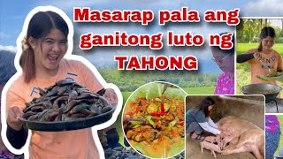 Nagluto ako ng Tahong sa Bukid  Nanganak na ang Alaga kong Baboy  Ka Mangyan Vlog [upl. by Rekyr]