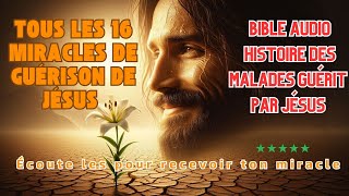 Tous les 16 MIRACLES DE JÉSUS DANS LES ÉVANGILES guérison jesusguéritlesmalades jesus foi [upl. by Novia558]