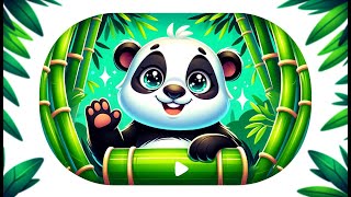 Panda Bears for Kids [upl. by Nerita]