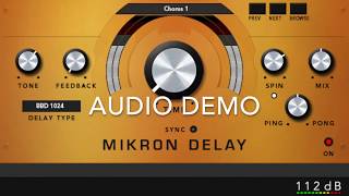 Mikron Delay Demo [upl. by Ydor430]