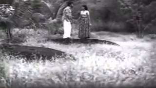 Marivillu Panthalitta  Theerthayathra1972 [upl. by Shaeffer]