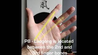 How to locate the Acupoint P8  Laogong [upl. by Boff835]