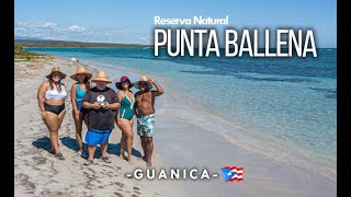 🐳 La Reserva Natural PUNTA BALLENA Guanica 🇵🇷 Paraíso en el 😱 EPICENTRO [upl. by Mayfield]