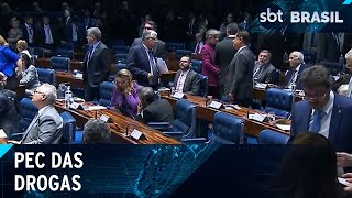 PEC das Drogas deve ser votada pelo Senado nesta semana  SBT Brasil 170424 [upl. by Moscow]