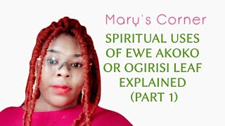 SPIRITUAL USES OF EWE AKOKO OR OGIRISI LEAF EXPLAINED PART 1 [upl. by Allicsirp]