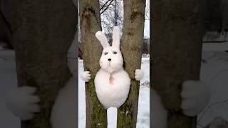 Amazing Trick To Catch Rabbits shortsvideo [upl. by Enitsirhk69]