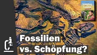 Fossilien Argumente für oder gegen Schöpfung Schöpfung oder Evolution 81 [upl. by Folsom926]