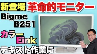 【ガジェット好き必見】カラー電子ペーパーを採用した25インチモニターが登場！「Bigme B251」をレビューします。用途が限られますが、めちゃ進化してます [upl. by Peer75]