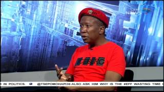 Question Time Julius Malema [upl. by Woodley]