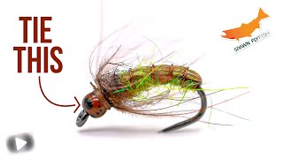 Grannom Caddis Pupa [upl. by Graner]