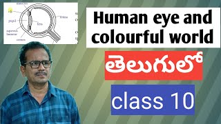 Human eye and colourful world class 10CBSEpart1 [upl. by Bax]