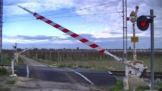 Spoorwegovergang Adelfia I  Railroad crossing  Passaggio a livello [upl. by Yatnod]