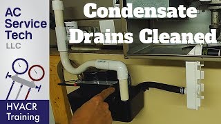 Condensate Drain Traps amp Lines Cleaned on AC and Gas Furnace [upl. by Simeon]