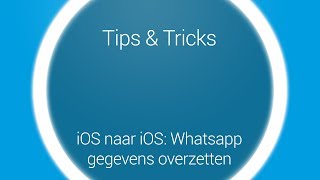 Tips amp Tricks  Overstappen Whatsapp iOS naar iOS [upl. by Kyne]