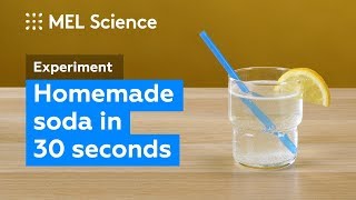 How to make a fizzy drink at home in 30 seconds DIY Experiment [upl. by Elacim]