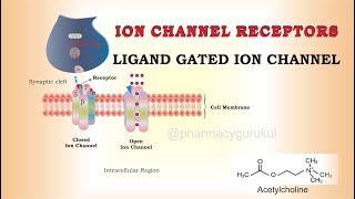 Ligand gated ion channels  ion channels [upl. by Luisa]