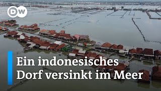 Wie sich ein indonesisches Dorf auf den buchstäblichen Untergang vorbereitet  DW Nachrichten [upl. by Hsiwhem]