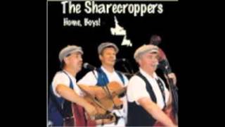 Home Boys  The Sharecroppers [upl. by Euh]