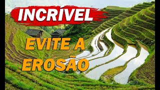 EVITE A EROSÃO Aprenda a fazer o TERRACEAMENTO para reter água no solo e manter a terra produtiva [upl. by Kcirtapnaes]