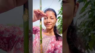 আজ ছিপ দিয়ে মাছ ধরলাম😍video minivlog shortvideo youtubeshorts agriculture viralvideo fish [upl. by Yelkrab433]