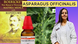 Asparagus officinalis homeopathic mother tincture in Hindi [upl. by Billmyre]