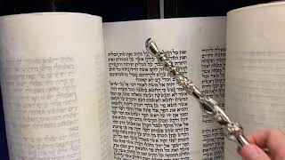 Torah Portion Vayikra  Hazan Benlolo [upl. by Dunc]