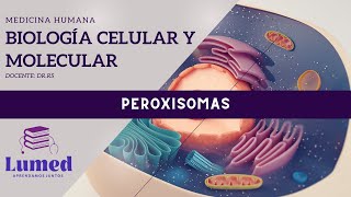 Biología Celular y Molecular  Peroxisomas [upl. by Noivaz113]