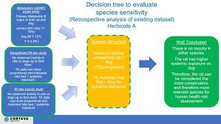 2 Incorporating toxicokinetic and toxicity data to evaluate the value added from using dogs in subch [upl. by Enellij]