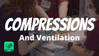 Compressions and Ventilations for Neonatal Resuscitation  NRP Mastery for Nurses [upl. by Gati]