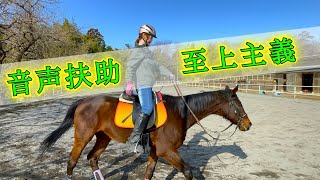 脚も手綱も使わない馬の乗り方 horse responds to voice aids [upl. by Lander]