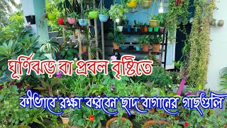 ঘূর্ণিঝড় বা প্রবল বৃষ্টিতে কীভাবে রক্ষা করবেন ছাদ বাগানের গাছগুলি।। ডানা danacyclone gardening [upl. by Llerdnek641]